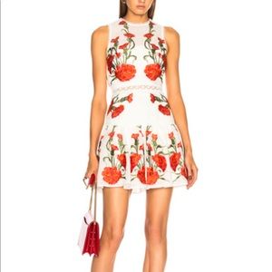 Alexis Embroidered Floral Spring Dress